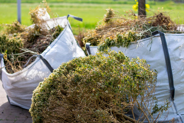 Best Local Junk Hauling  in Clinton, MI